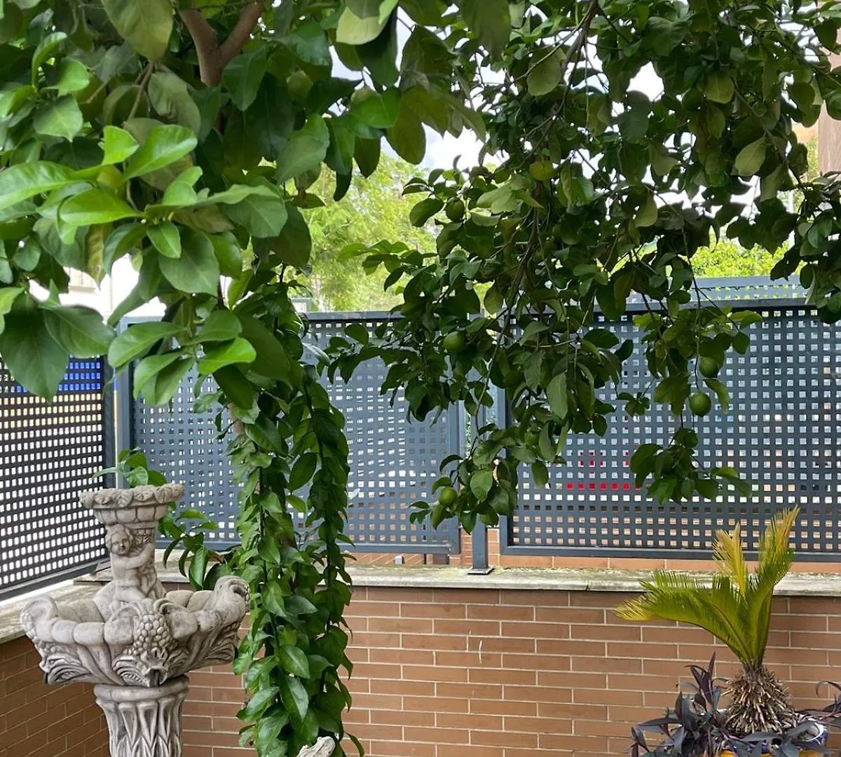 Homestay Glass Student-Habitacion Doble Privada En Casa Compartida-Uebica2 Mairena del Aljarafe